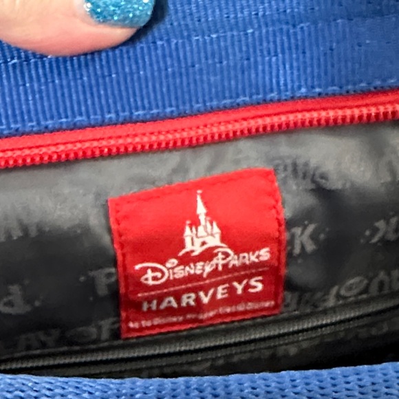 Harveys x Disney Play in the Park backpack main image 8